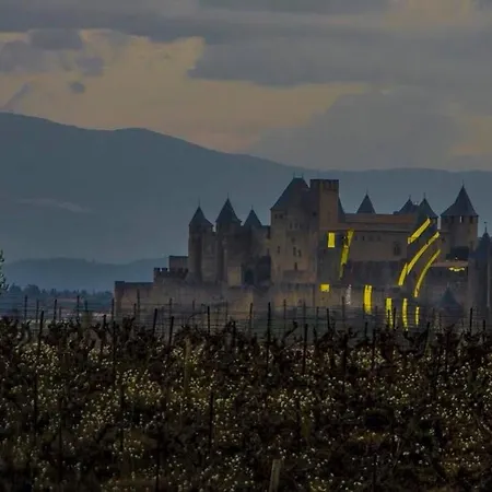 Spacieux A 48 M² Avec Parking 公寓 卡尔卡松