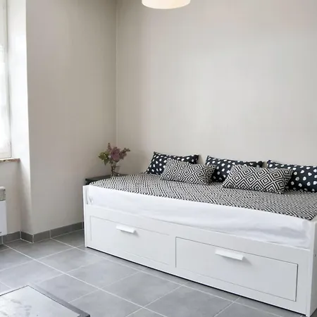 Spacieux A 48 M² Avec Parking 公寓 卡尔卡松